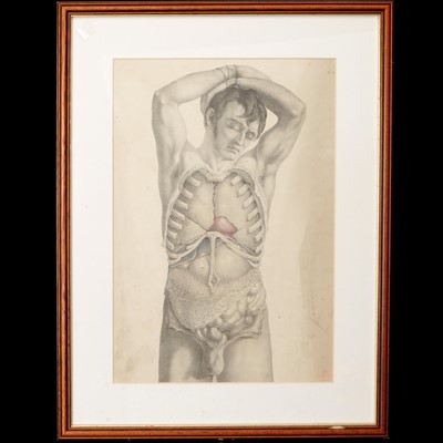 Lot 105 - Three original prints from the First Edition of Surgical Anatomy by Joseph Maclise 1851