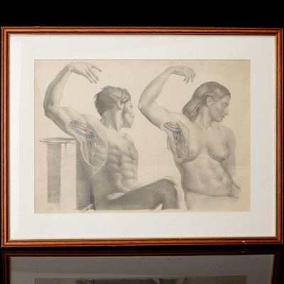 Lot 105 - Three original prints from the First Edition of Surgical Anatomy by Joseph Maclise 1851