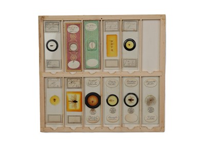 Lot 429 - A Good Collection of Insect Microscope Slides