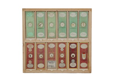 Lot 429 - A Good Collection of Insect Microscope Slides