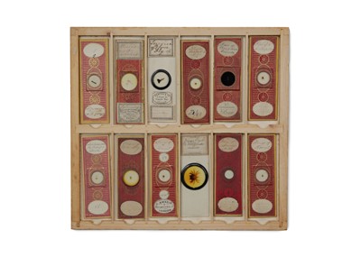 Lot 429 - A Good Collection of Insect Microscope Slides