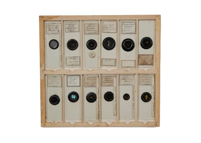 Lot 429 - A Good Collection of Insect Microscope Slides