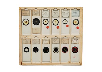 Lot 429 - A Good Collection of Insect Microscope Slides