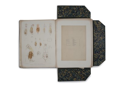 Lot 448 - Hudson & Gosse, Folio Folder of Rotifera, 1886