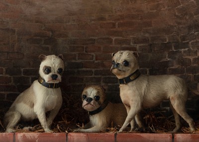 Lot 477 - Taxidermy - A Victorian 'Chinese Muff Dog' Diorama