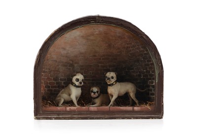 Lot 477 - Taxidermy - A Victorian 'Chinese Muff Dog' Diorama