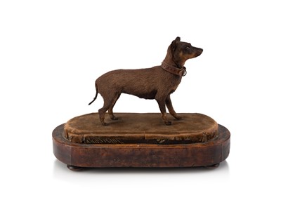 Lot 478 - Taxidermy - A Victorian 'Chinese Muff Dog'