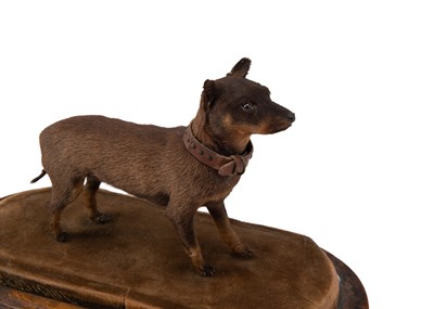 Lot 478 - Taxidermy - A Victorian 'Chinese Muff Dog'