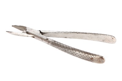 Lot 46 - A Large Pair of Bone Snips or Cutters