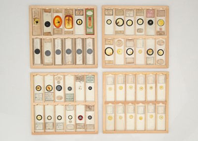 Lot 233 - A Good Collection of Microscope Slides