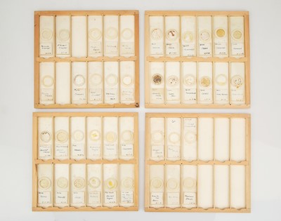 Lot 275 - Microscope Slide Makers Cabinet & Slides