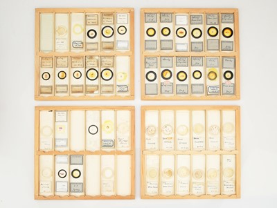 Lot 275 - Microscope Slide Makers Cabinet & Slides