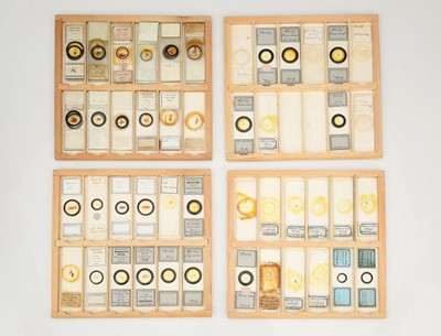 Lot 275 - Microscope Slide Makers Cabinet & Slides