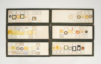 Lot 224 - A Collection of Microscope Slides