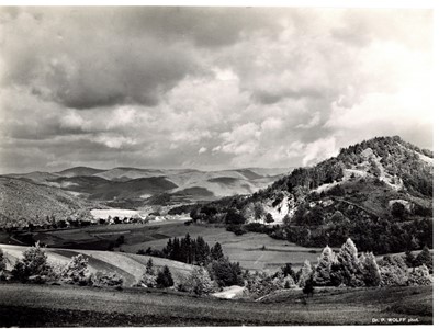 Lot 292 - DR PAUL WOLFF (1887-1951), A Group of Vintage Photographs