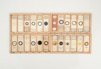 Lot 243 - Set of Microscope slides