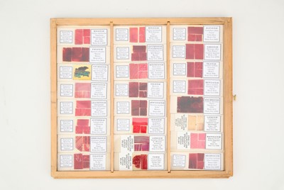 Lot 238 - Large Cabinet of 500 Microscope Slides by Ernie Ives