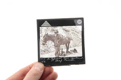 Lot 336 - A Diverse Range of Magic Lantern Slides