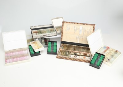 Lot 274 - Collection of microscope slides