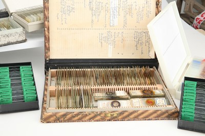 Lot 274 - Collection of microscope slides