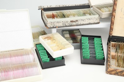 Lot 274 - Collection of microscope slides