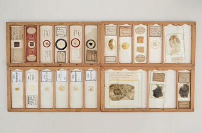 Lot 256 - A Collection of Mineral & Geology Microscope Slides