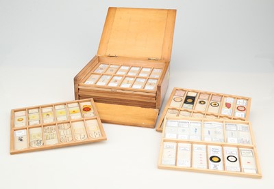 Lot 257 - A Set of Microscope Slides