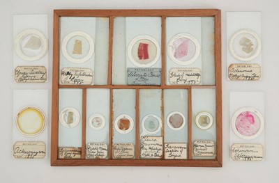 Lot 258 - A Macabre Collection of Victorian Pathology Microscope Slides