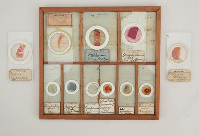 Lot 258 - A Macabre Collection of Victorian Pathology Microscope Slides