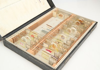 Lot 258 - A Macabre Collection of Victorian Pathology Microscope Slides