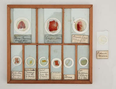 Lot 258 - A Macabre Collection of Victorian Pathology Microscope Slides