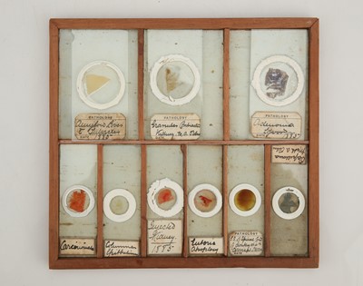 Lot 258 - A Macabre Collection of Victorian Pathology Microscope Slides