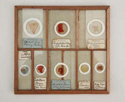 Lot 258 - A Macabre Collection of Victorian Pathology Microscope Slides