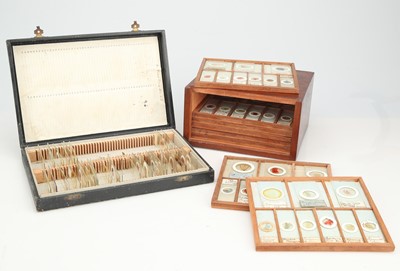 Lot 258 - A Macabre Collection of Victorian Pathology Microscope Slides