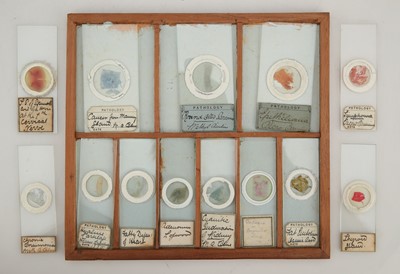 Lot 258 - A Macabre Collection of Victorian Pathology Microscope Slides