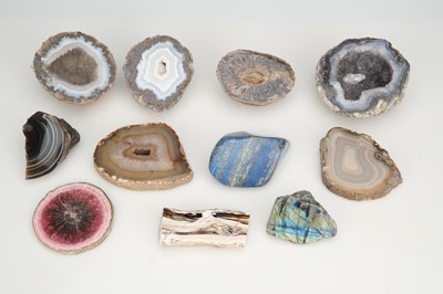 Lot 220 - Collection of polished Agate Sections & Fossilized wood