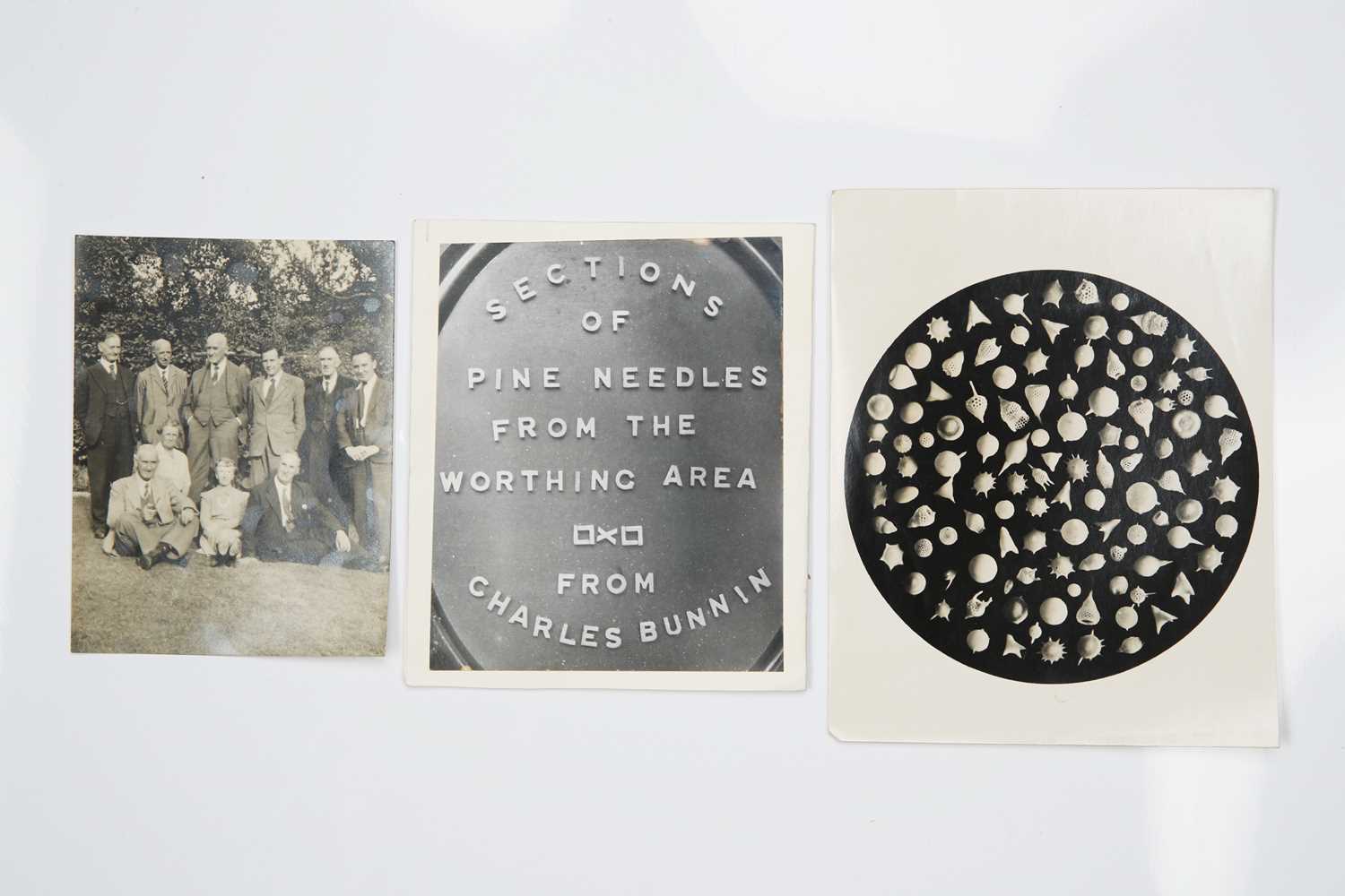 Lot 675 - A Large Archive of Images of Microphotographs