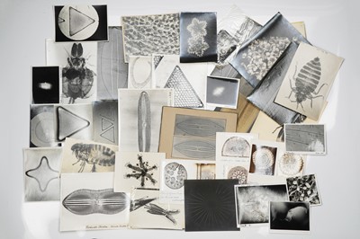 Lot 675 - A Large Archive of Images of Microphotographs