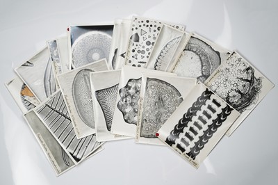 Lot 675 - A Large Archive of Images of Microphotographs