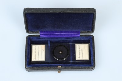 Lot 670 - An Exhibition Microscope Slide of Arrange Butterfly Scales