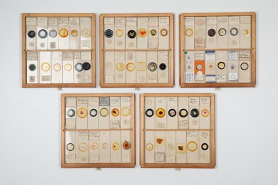 Lot 664 - Microscope Slide Cabinet & Slides