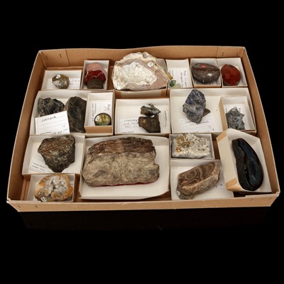 Lot 204 - Collection of Mineral Samples From Horsham Museum