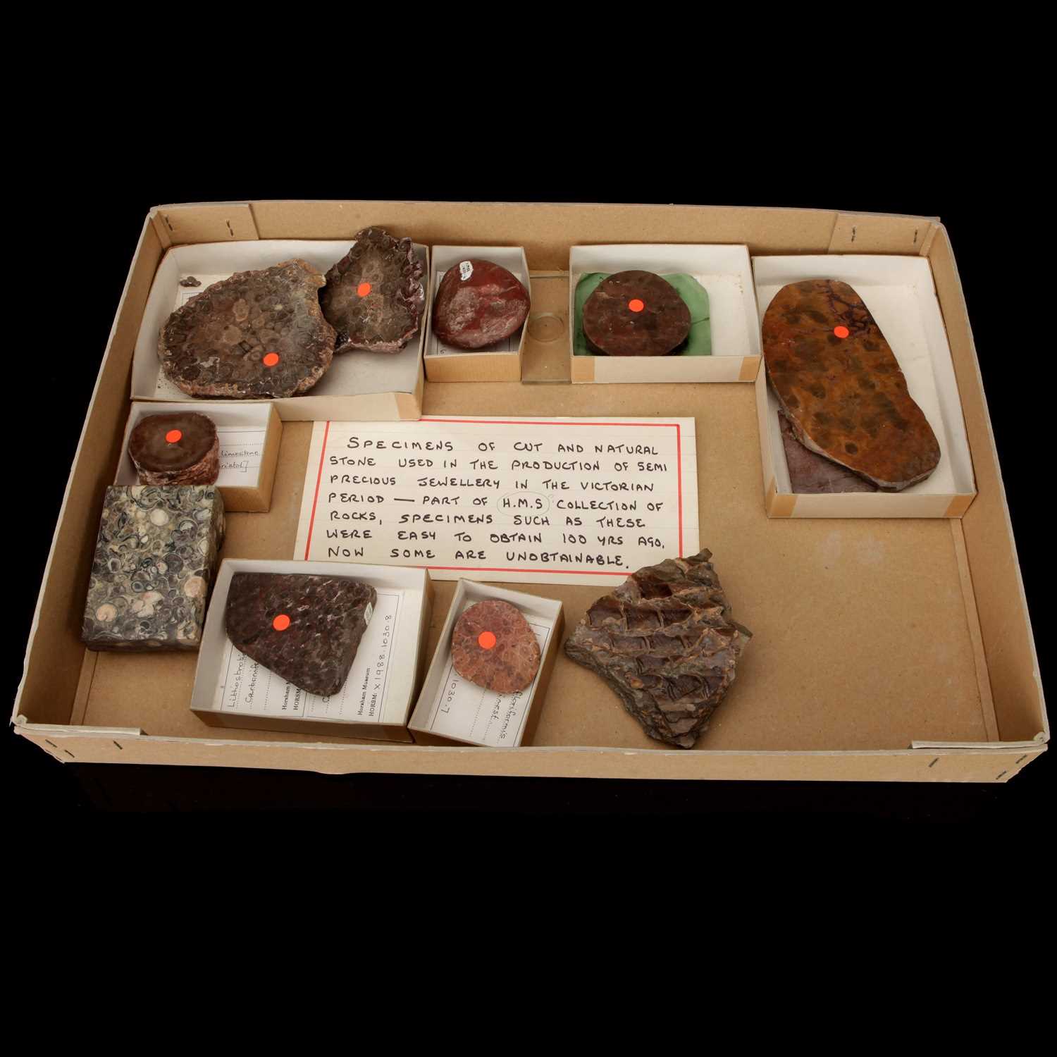 Lot 204 - Collection of Mineral Samples From Horsham