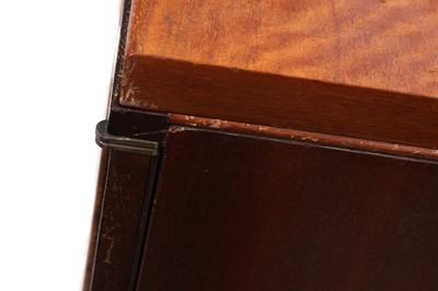 Lot 205 - Specimen Cabinet From The London Natural History Museum's Rothchild, Cockayne & Kettlewell Collection