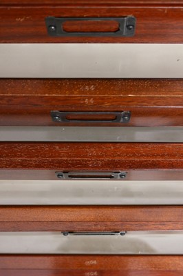 Lot 205 - Specimen Cabinet From The London Natural History Museum's Rothchild, Cockayne & Kettlewell Collection