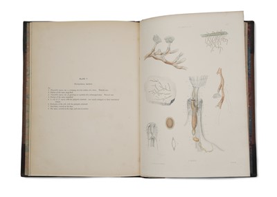 Lot 807 - Allman, George James, Folio Edition of Fresh Water Polyzoa, 1886