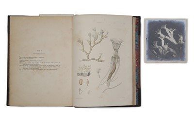 Lot 807 - Allman, George James, Folio Edition of Fresh Water Polyzoa, 1886