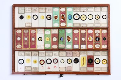 Lot 198 - Large Cabinet of fine Victorian Microscope Slides