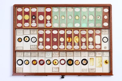 Lot 198 - Large Cabinet of fine Victorian Microscope Slides