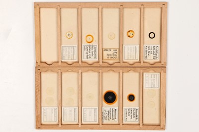 Lot 12 - A Collection of 28 Microscope Slides